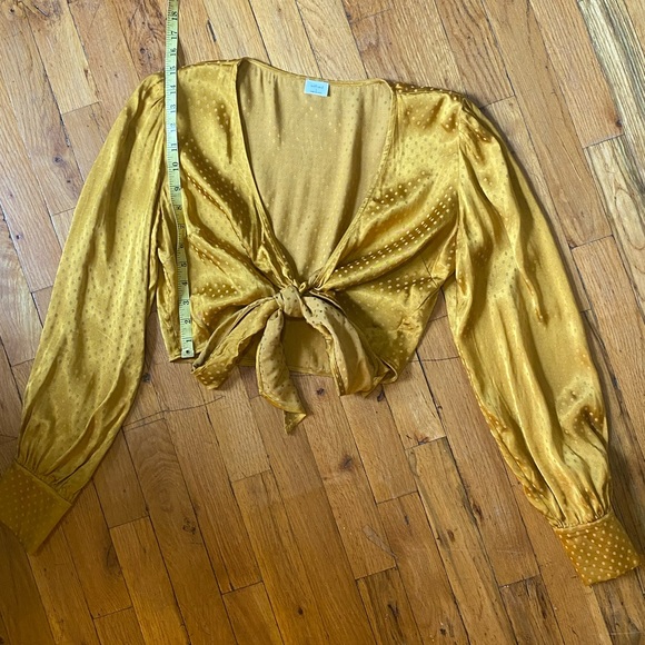 Wilfred Aritzia Gold Crop Top - Picture 6 of 10